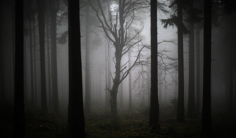 Rywalizacja. Bloody Painter #3