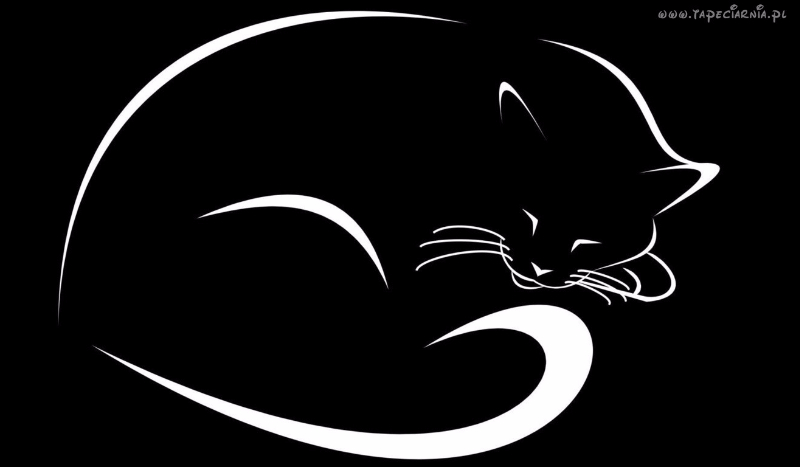 Jak będzie wyglądał twój kot?