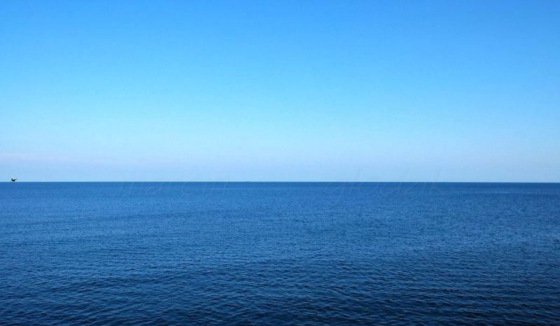 Piosenkarki z Polski