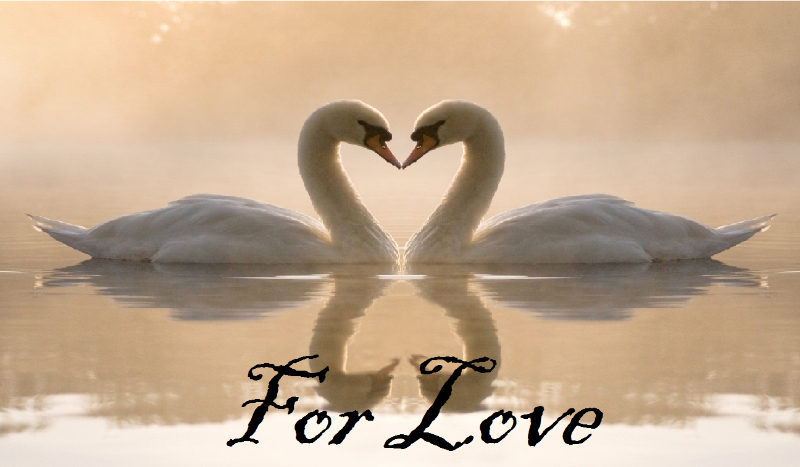 For Love #1