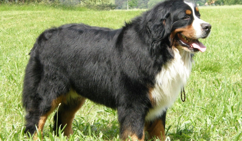 Minecraft #1 powrót tytana!