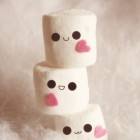 miniaa2