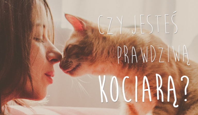 Sprawdź, czy jesteś prawdziwą kociarą!