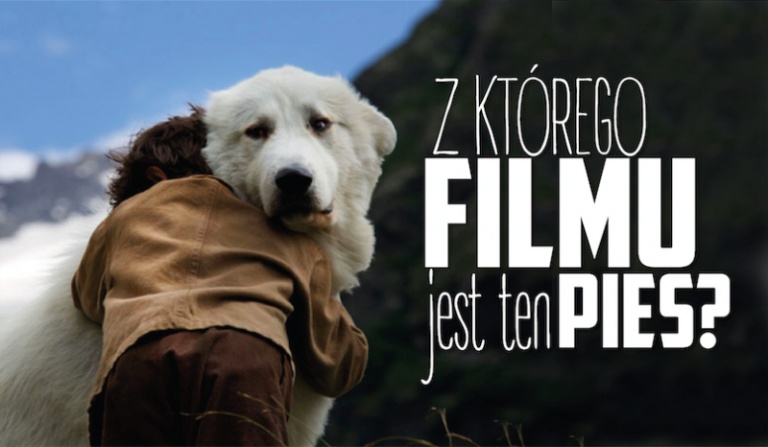 Czy rozpoznasz, z którego filmu jest ten pies?