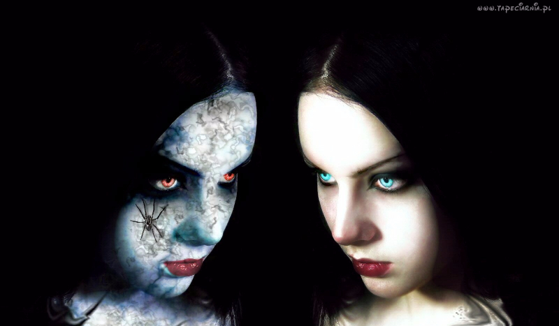 Do której strony pasuje twoja osobowość.