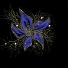 Antilia-wiki