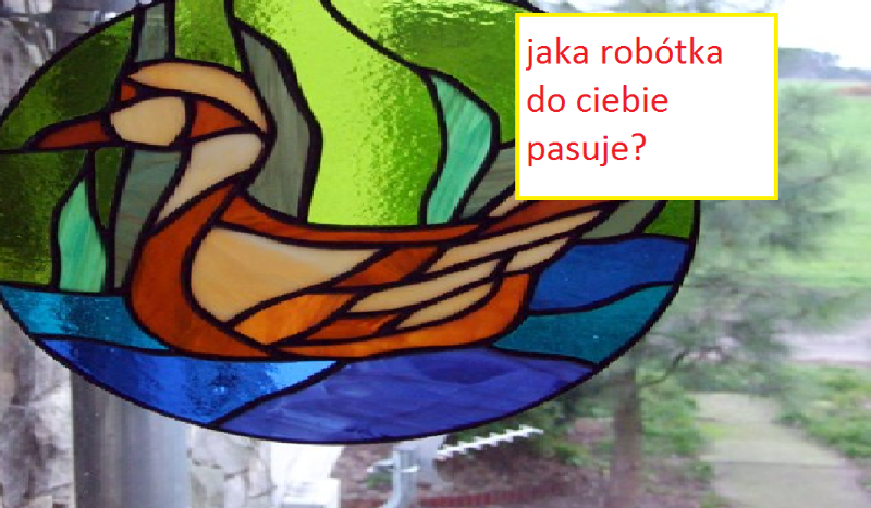 Jaka robótka do ciebie pasuje?