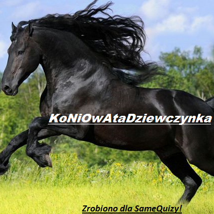 KoNiOwAtaDziewczynka