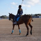 My-life-as-horse-lover