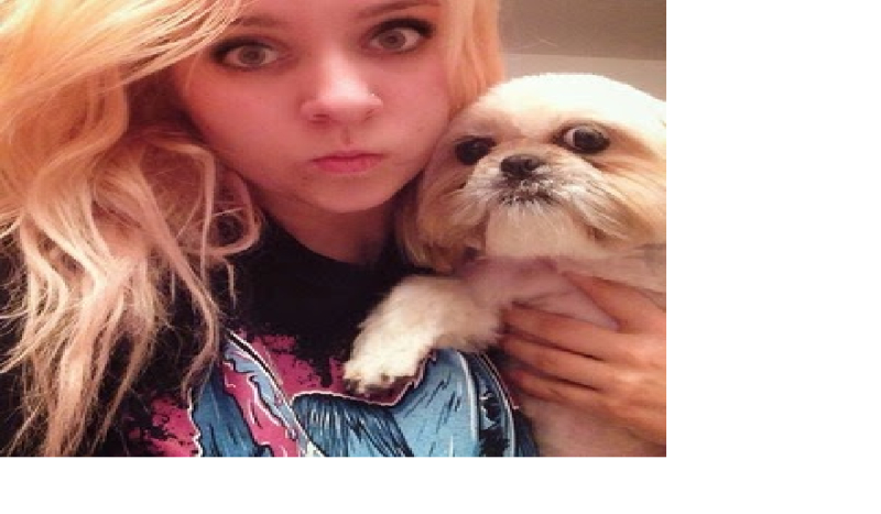 Jakim zwierzę jesteś?