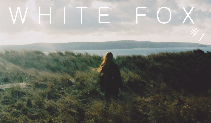 White Fox #1