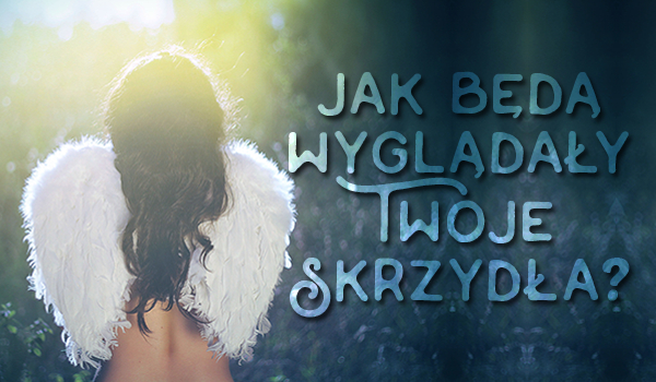 Jak będą wyglądały Twoje skrzydła?