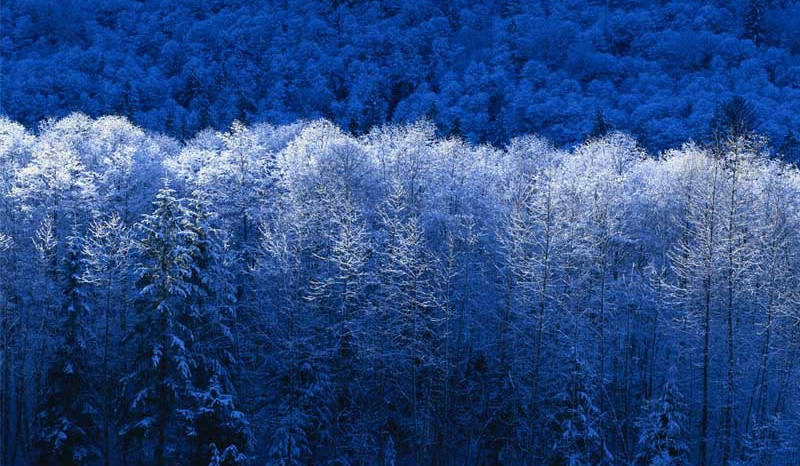 Jak dobrze znasz ,,W głowie się niemieści”
