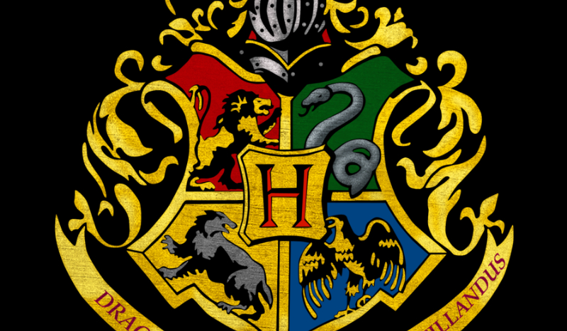 Twoja historia- Hogwart po latach