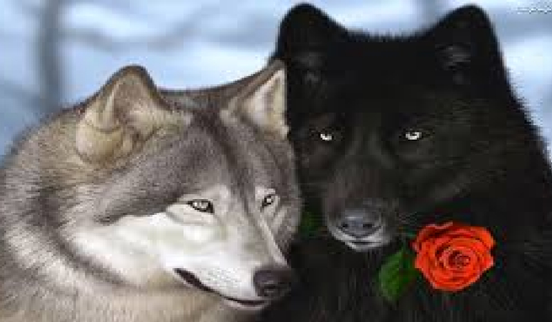 Taka sama lecz inna #3