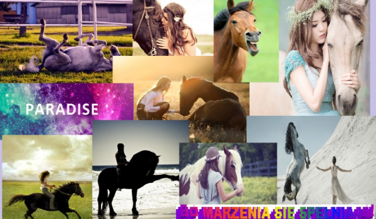 Czy potrafisz dosiąść konia twych marzeń?