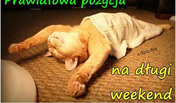 Czy będziesz sławnym??