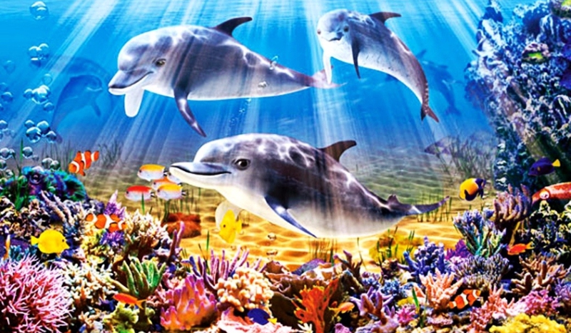 Twoja przygoda w… akwarium?