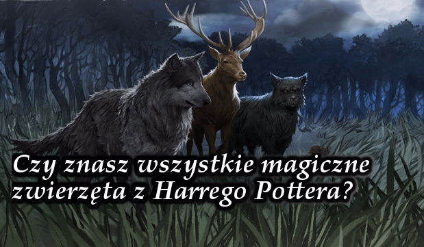 Jak dobrze znasz magiczne zwierzęta z Harrego Pottera?