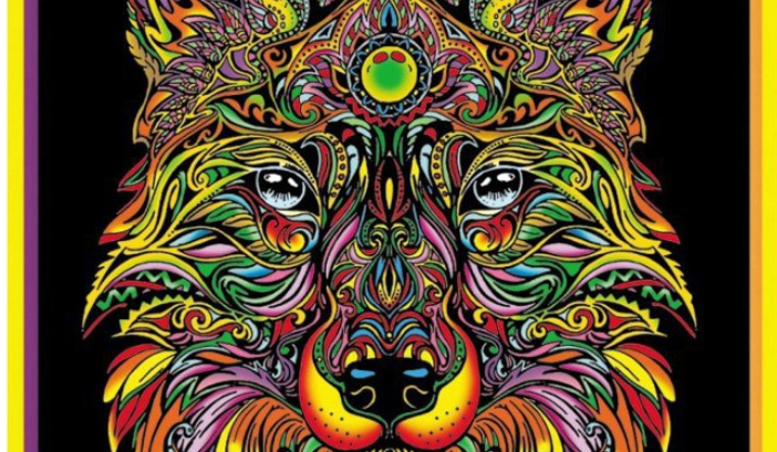 jakie zwierze do ciebie pasuje?