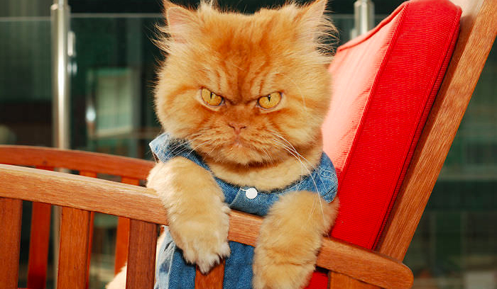 Czy uda mi się zepsuć najbliższe 5 minut twojego życia?