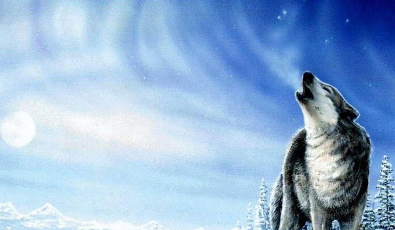 podróż z creepypastą #2