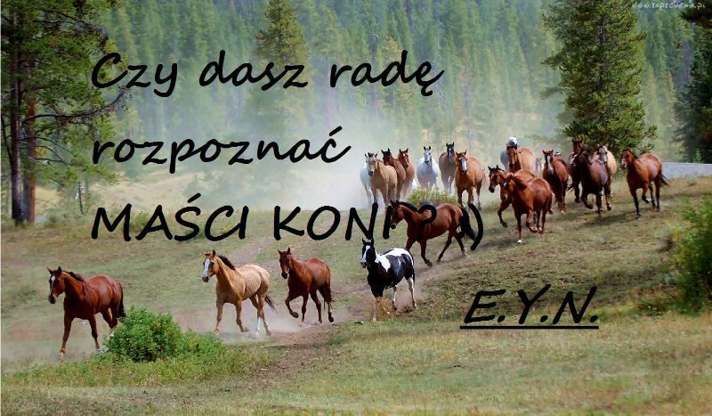 Dopasuj nazwy maści do zdjęć :D