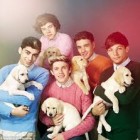 OneDirection-1D