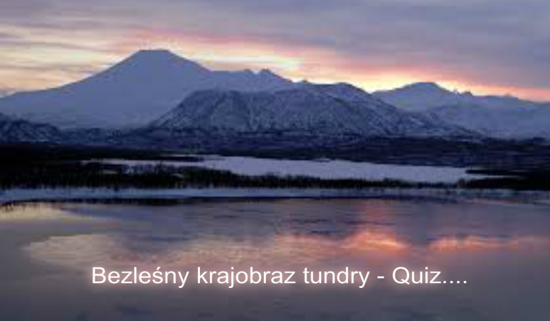 Bezleśny krajobraz tundry – Quiz….