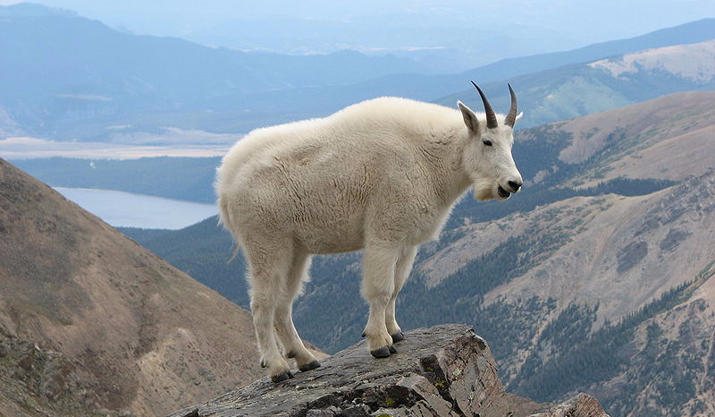 Jaką strefą klimatyczną jesteś?