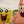 domcia13lol
