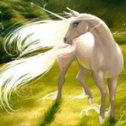 magic_horse