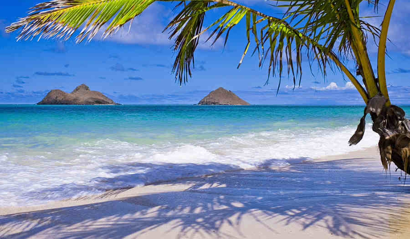 Wakacje u Zdzisia #1