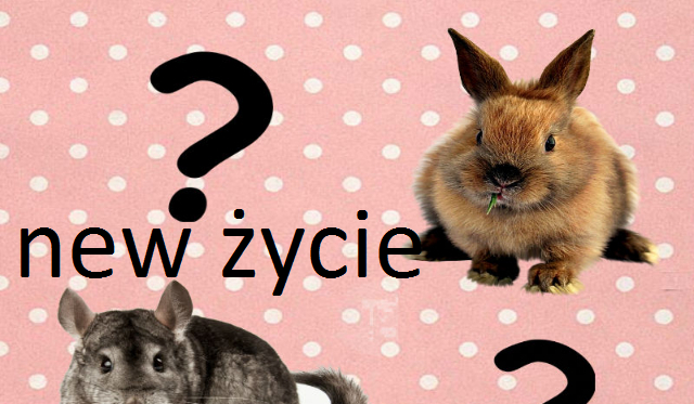 New życie #1