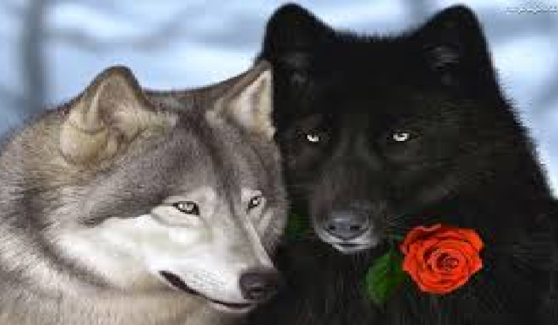 Taka sama lecz inna #1