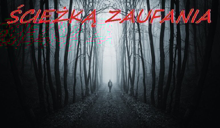 ŚCIEŻKĄ ZAUFANIA #11