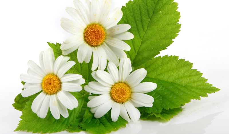 Co powinieneś teraz zrobić?