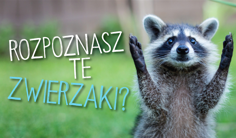 Czy rozpoznasz zwierzęta?