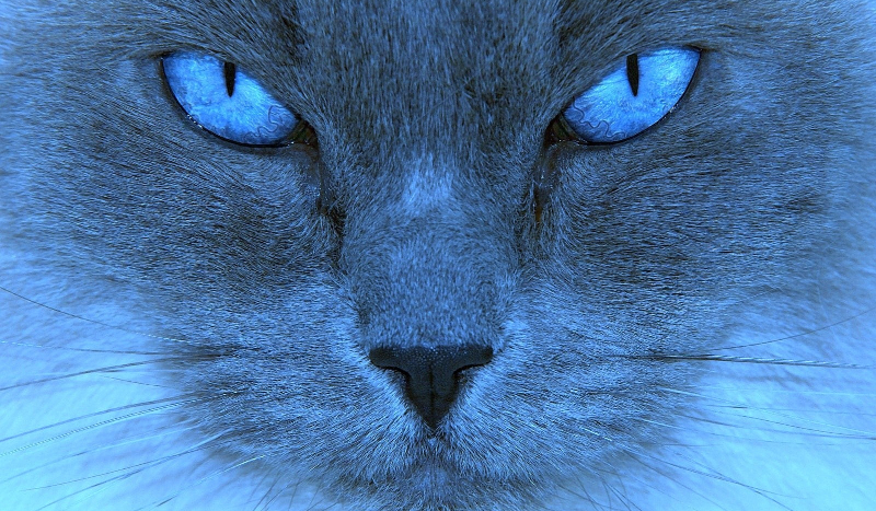 Czy zgadniemy twoje myśli?