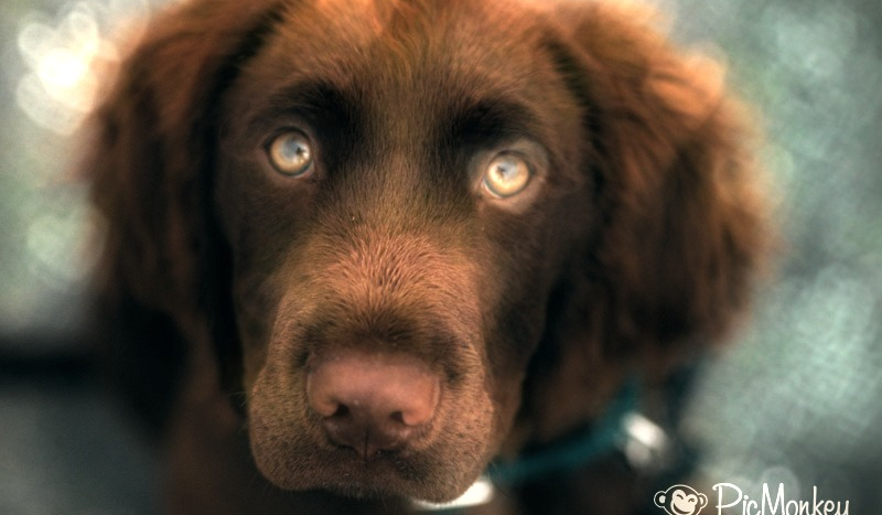 Pierwsza miłość cz.1