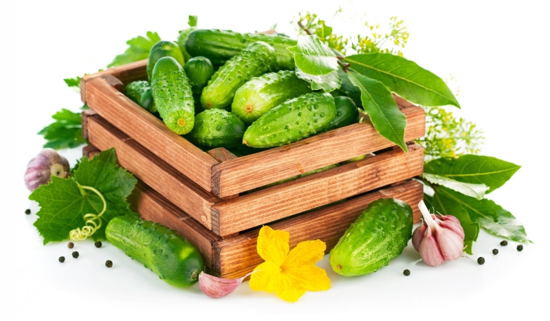 Jakim warzywem jesteś?