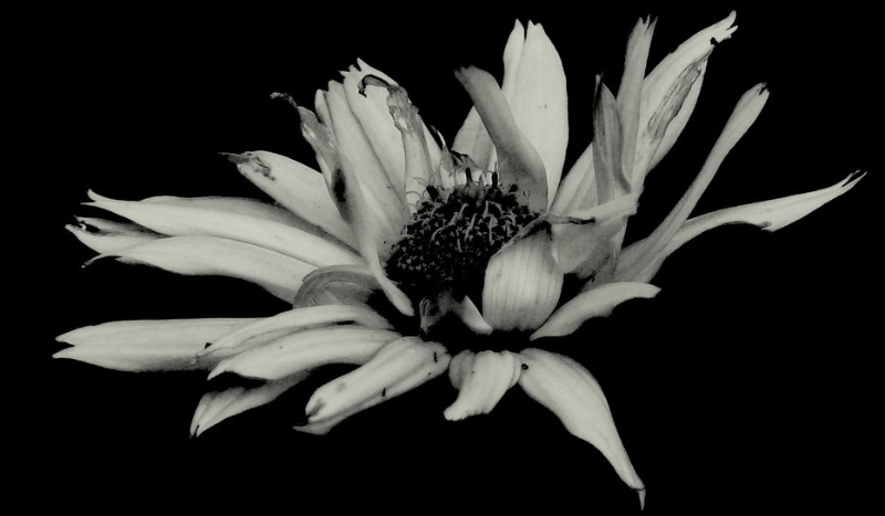 Życie w kolorach smutku #1