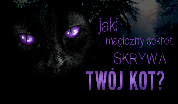 Jaki magiczny sekret skrywa Twój kot?