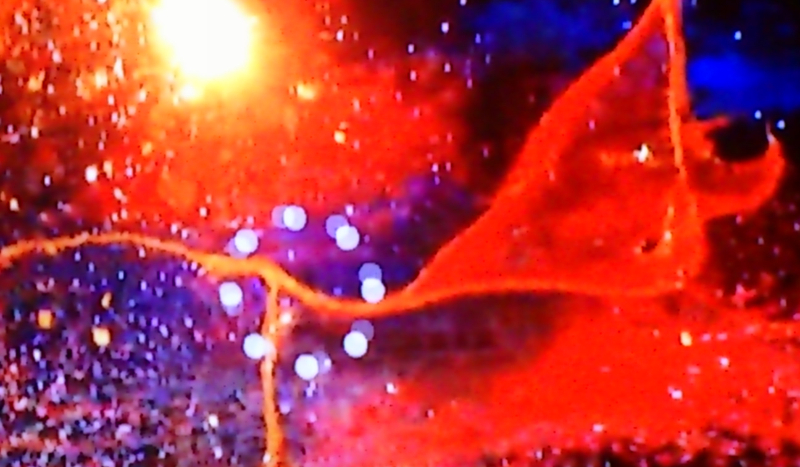 Jaki cud zobaczysz ?