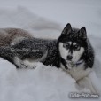 Julia_Wojcik5
