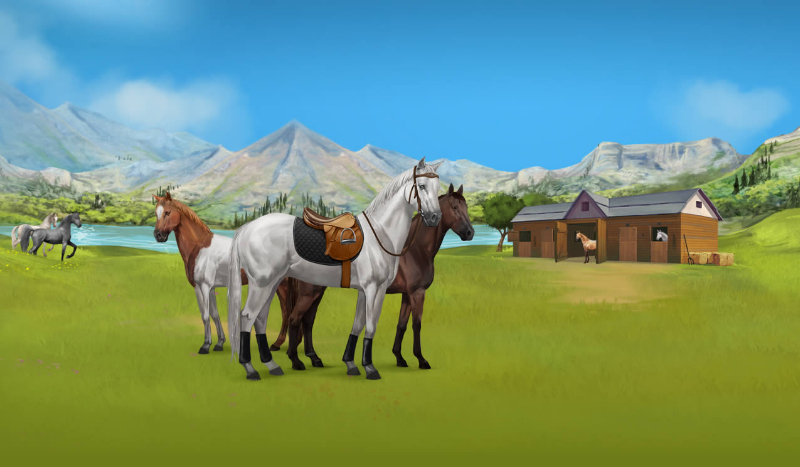 Prosty test wiedzy o Howrse