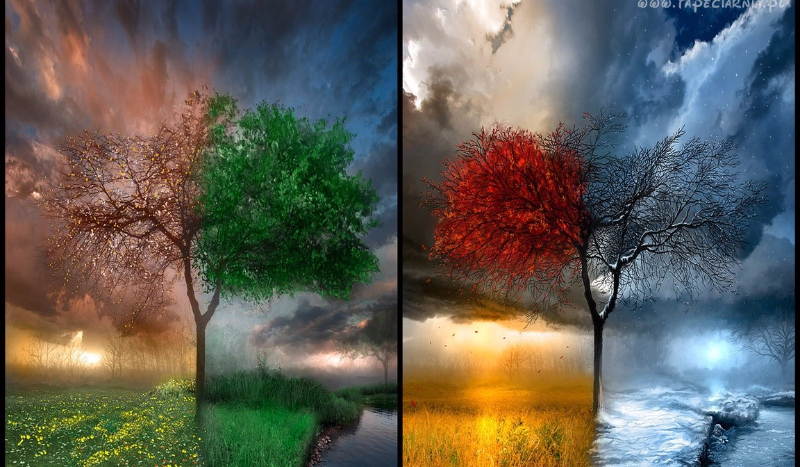 Jaka pora roku do ciebie pasuje ?