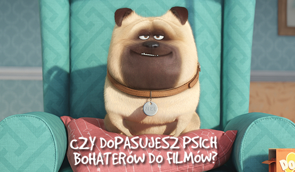 Czy dopasujesz psich bohaterów do filmów?