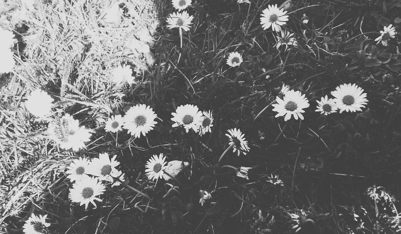 osamotniona#2-Dom…