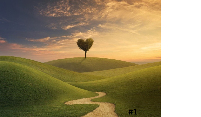 Twoje YouTube’owe życie #1